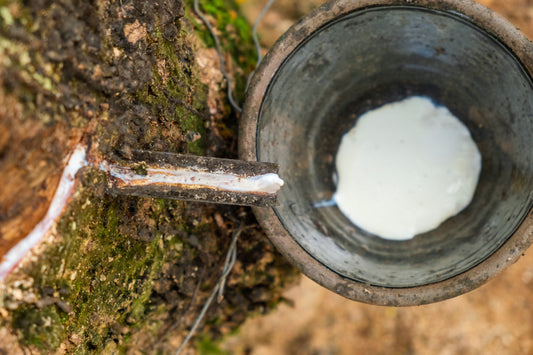 Natural Rubber and Greenwashing in the Mattress Industry