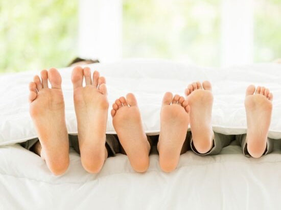 Regulating Body Temperature in Changing Seasons