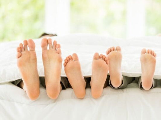 Regulating Body Temperature in Changing Seasons