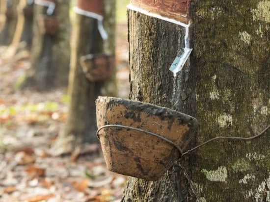 Why Organic Mattresses and Bedding last longer...