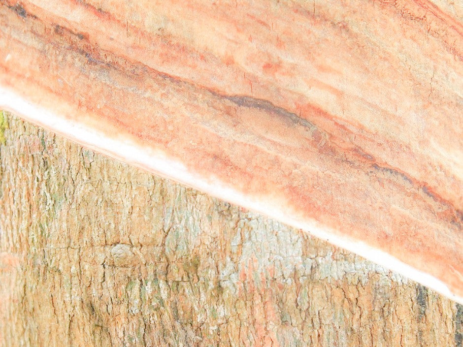 Organic Latex Vs Polyurethane Foam