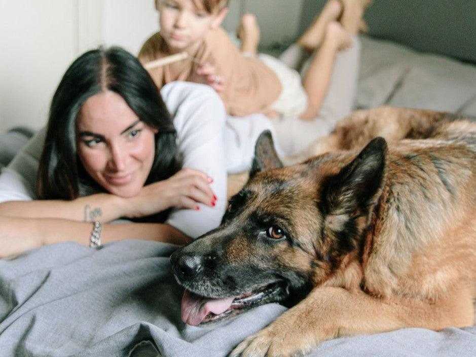 Springtime Means it's time to Spring Clean!