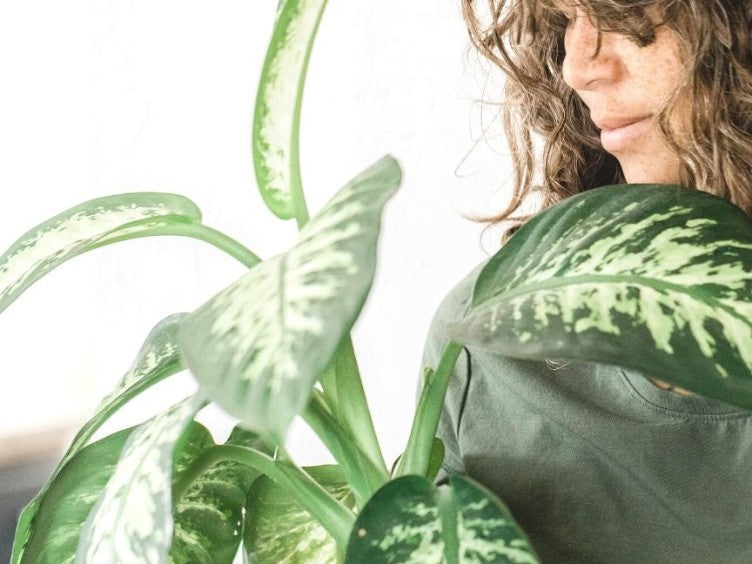 Indoor Air Can Be Worse Than Outdoor