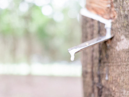 Natural Rubber and Greenwashing in the Mattress Industry