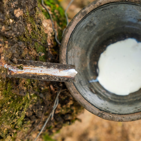 {"widths" => "50, 75, 100, 150, 200, 300, 400, 500, 750, 1000, 1250, 1500, 1750, 2000, 2250, 2500, 2750, 3000, 3200"}