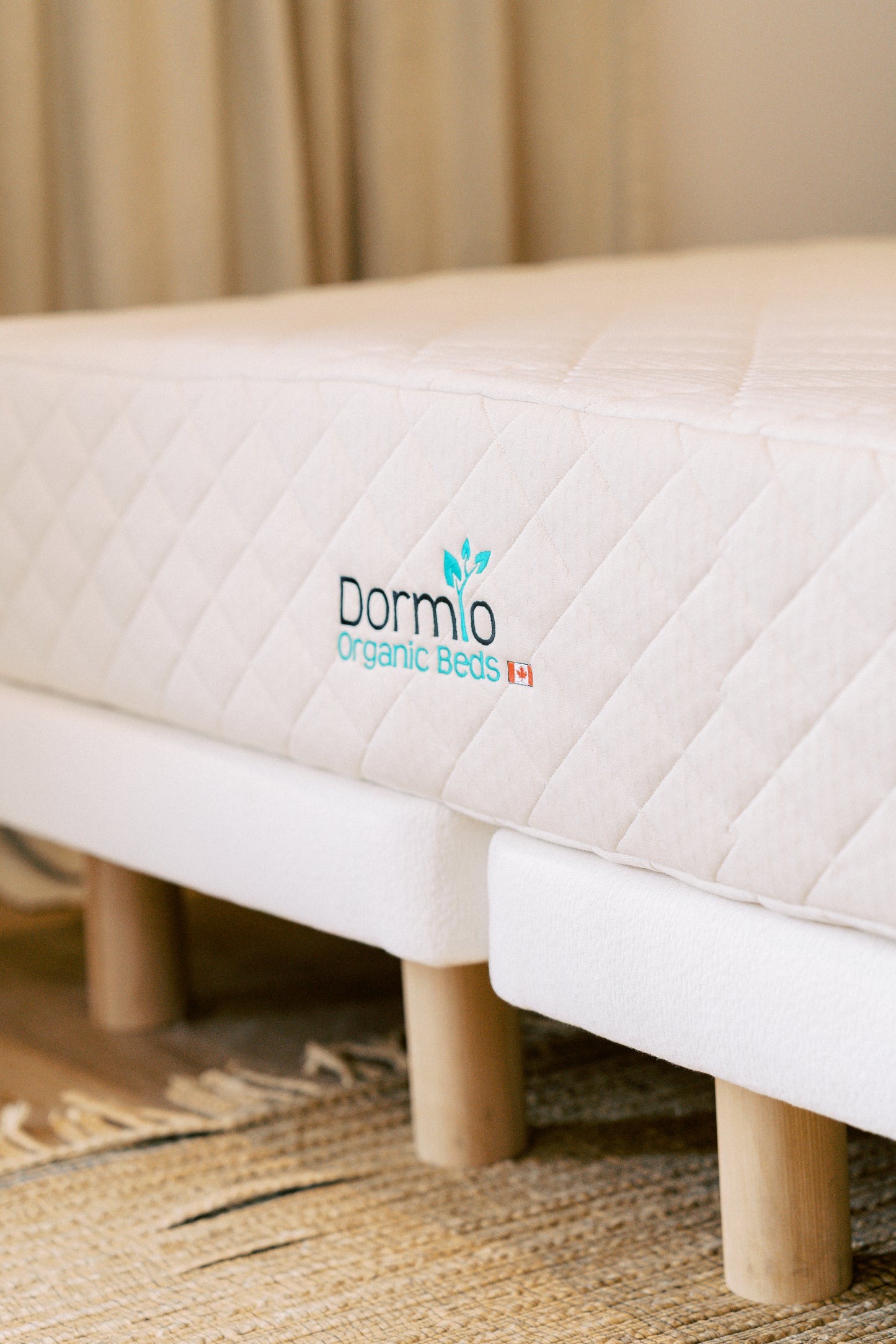 Dormio 11