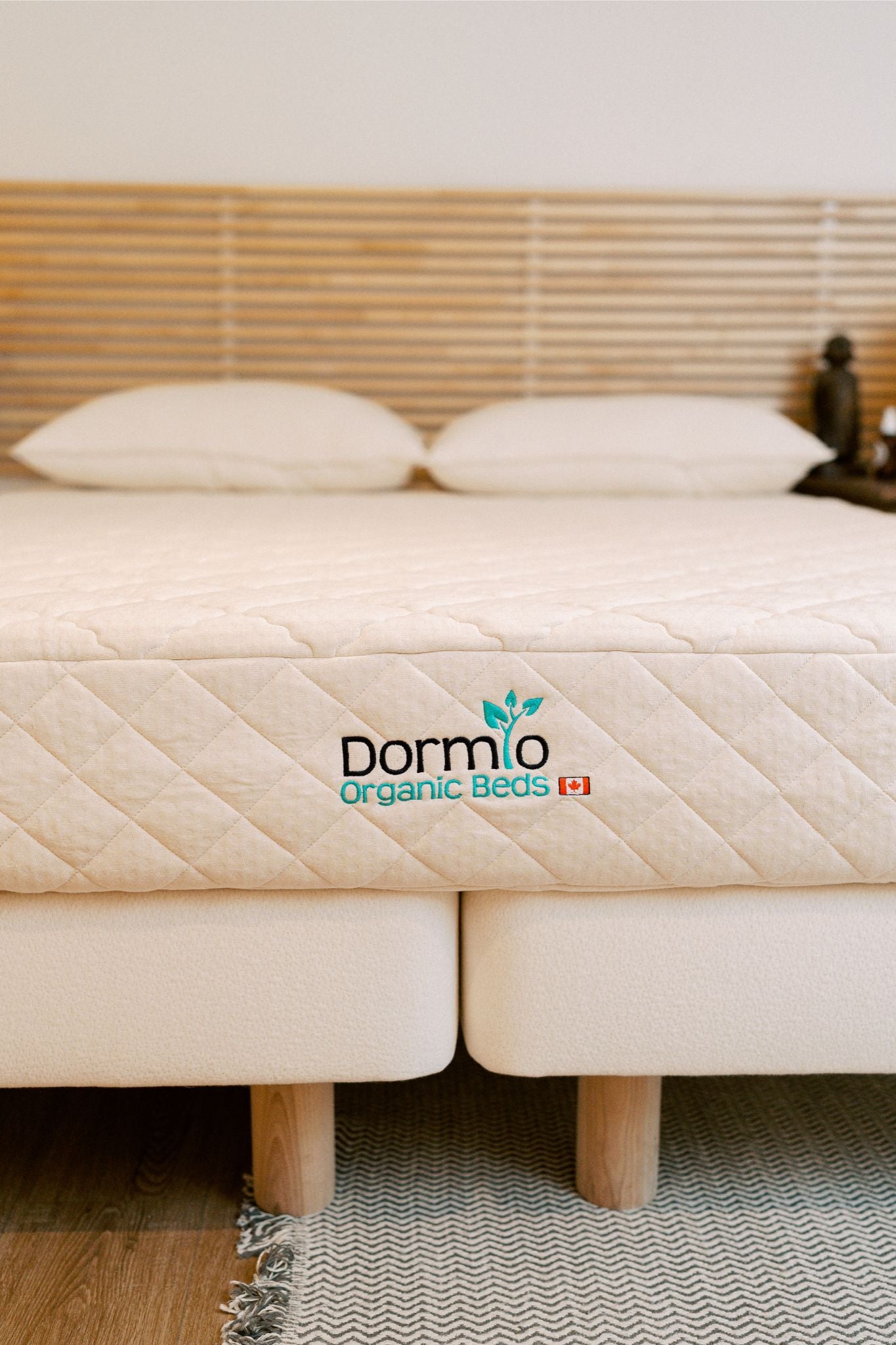 Dormio 8