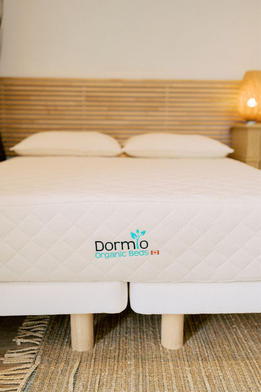 Dormio 11